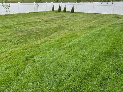 Lawn Care service in Middletown, 02842