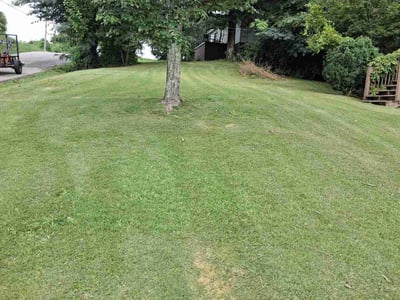 Lawn Care service in Gardendale, 35071