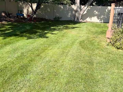Lawn Care service in Midvale, 84047