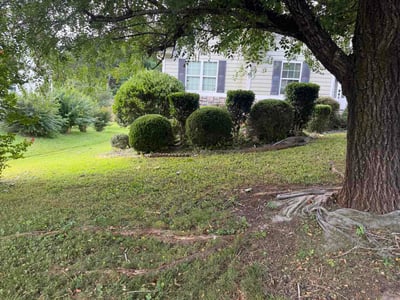 Lawn Care service in New Bedford, 02740