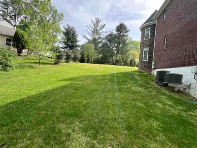 Lawn Care service in Berryville, 22611