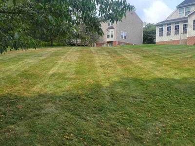 Lawn Care service in Sewickley, 15143