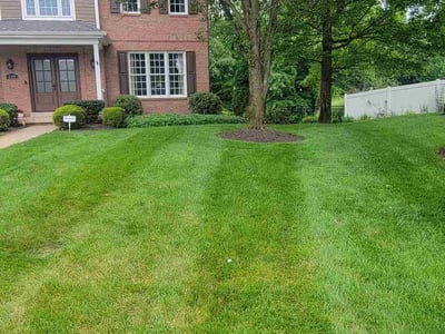 Lawn Care service in Sewickley, 15143