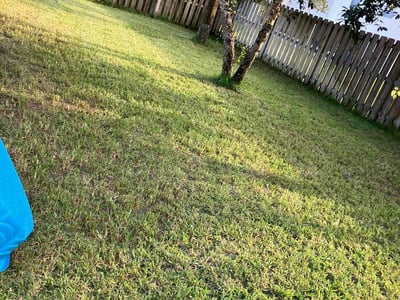 Lawn Care service in Newport, 02840