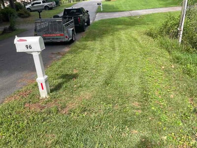 Lawn Care service in Dawsonville, 30534