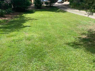 Lawn Care service in Dawsonville, 30534