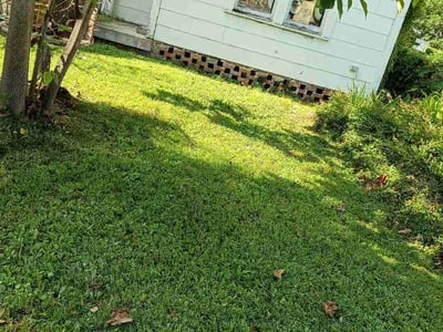 Lawn Care service in Hattiesburg, 39401