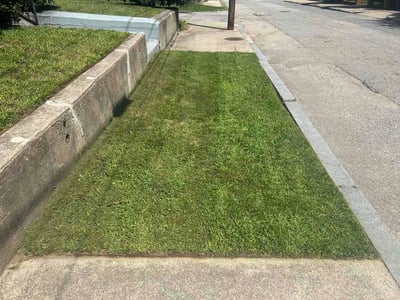 Lawn Care service in Pawtucket, 02860