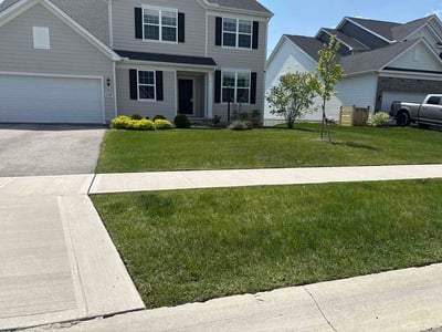 Lawn Care service in London, 43140