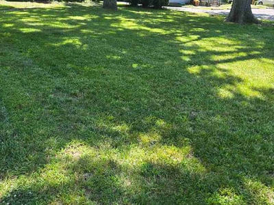 Lawn Care service in Jefferson City, 65101