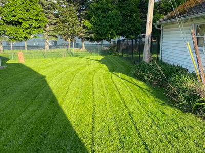 Lawn Care service in Cheektowanga, 14225