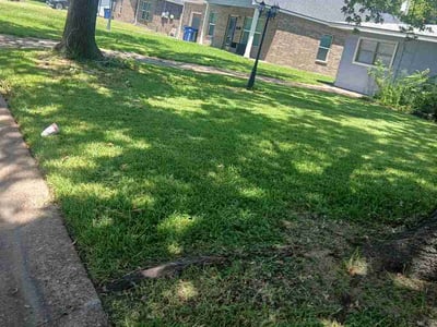 Lawn Care service in Texas City, 77590
