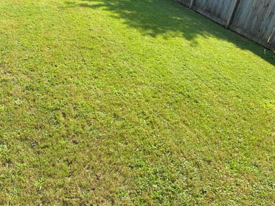 Lawn Care service in Irondale, 35210