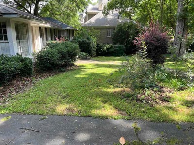 Lawn Care service in Tupelo, 38804