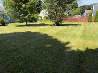 Lawn Care service in Dover, 03820