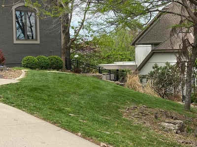 Lawn Care service in New Brunswick, 08901