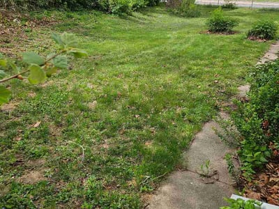 Lawn Care service in Farmington, 84025