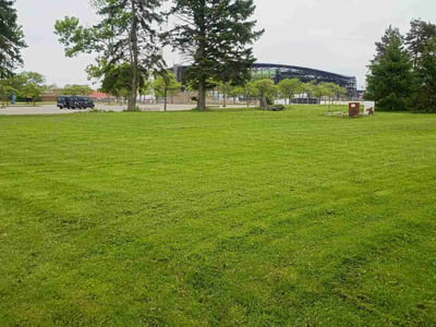 Lawn Care service in Depew, 14043