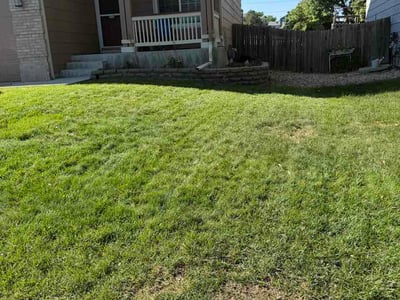 Lawn Care service in Colton, 92324