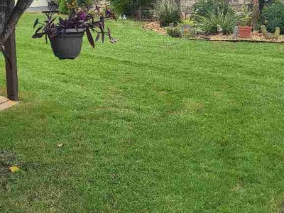 Lawn Care service in Cibolo, 78108