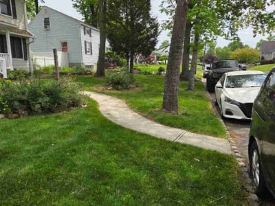 Lawn Care service in Westfield, 07090