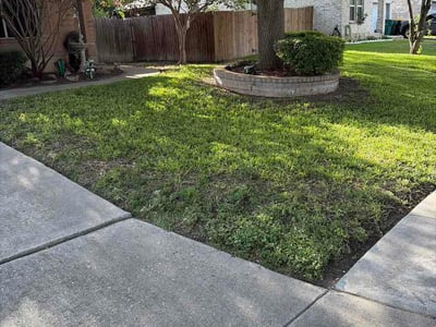 Lawn Care service in Converse, 78109