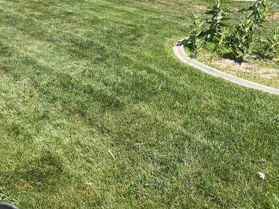 Lawn Care service in Roy, 84067
