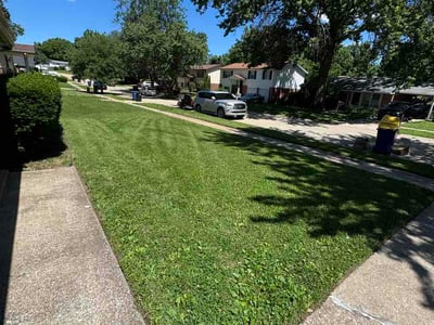 Lawn Care service in Roy, 84067