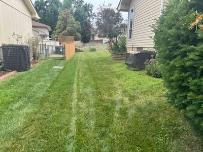 Lawn Care service in Roy, 84067