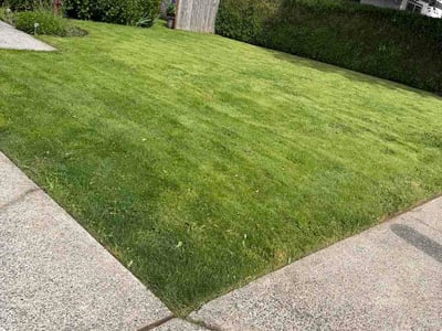 Lawn Care service in Gresham, 97030