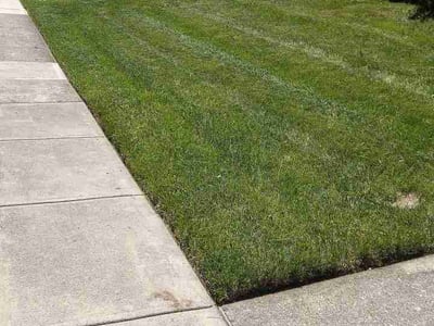 Lawn Care service in Springboro, 45066