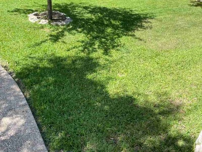 Lawn Care service in Shavano Park, 78231