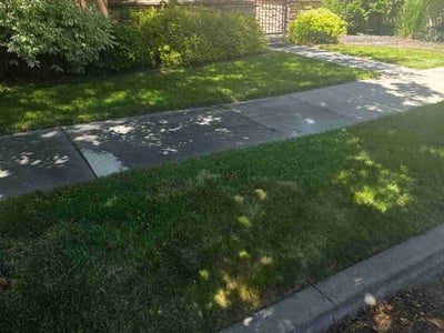 Lawn Care service in Post Falls, 83854