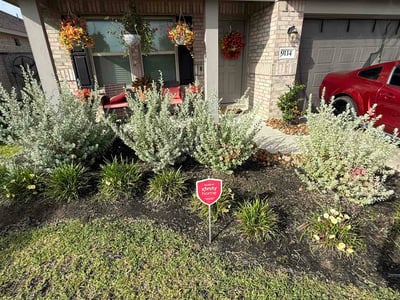 Lawn Care service in North Attleboro, 02760