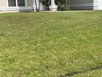 Lawn Care service in West Palm Beach, 33401
