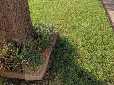 Lawn Care service in Wichita Falls, 76301