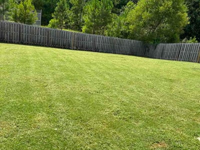 Lawn Care service in Grovetown, 30813