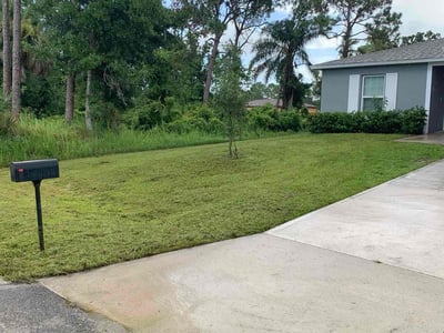 Lawn Care service in Cocoa Beach, 32931