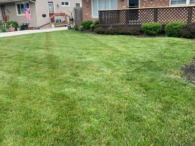 Lawn Care service in Mount Gilead, 43338