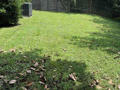 Lawn Care service in Madison, 37115