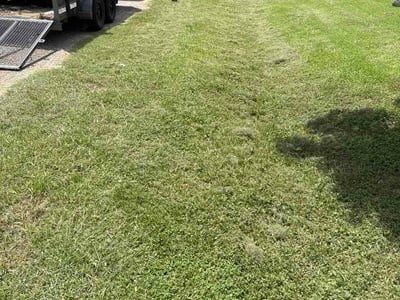 Lawn Care service in Brazoria, 77422