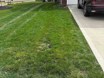 Lawn Care service in Lewis Center, 43035