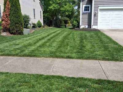 Lawn Care service in Powell, 43065