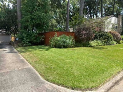 Lawn Care service in Kingwood, 77339