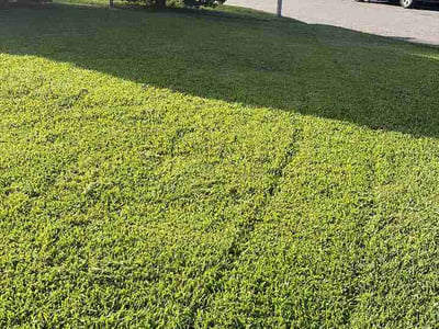 Lawn Care service in Kingwood, 77339