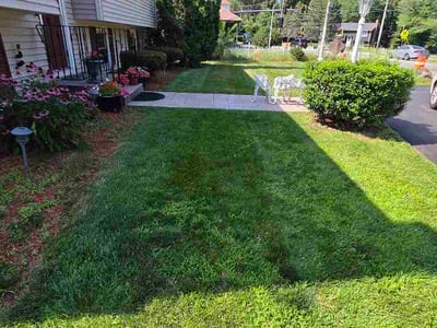 Lawn Care service in Seekonk, 02771
