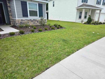 Lawn Care service in Albany, 31701
