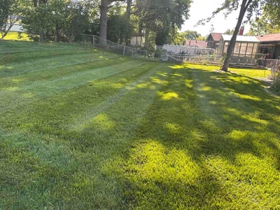 Lawn Care service in Wright City, 63390