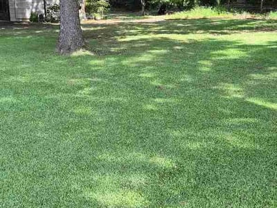 Lawn Care service in Hartselle, 35640