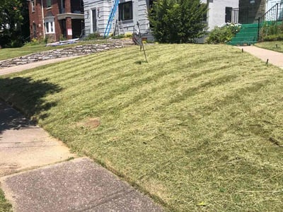 Lawn Care service in Valencia, 16059